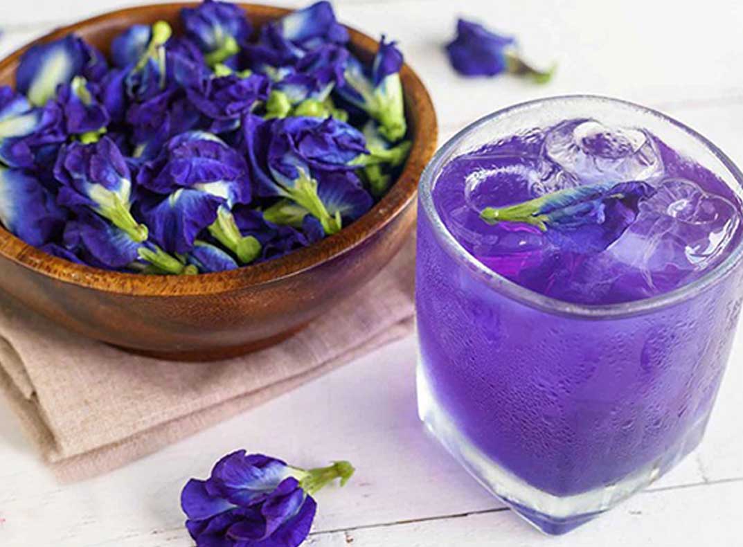 صادرات گل گاوزبان خشک ایرانی + دمنوش دارویی آرام‌ بخش
