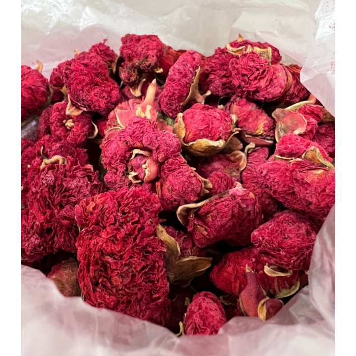 خرید عمده گلنار فارسی