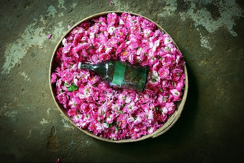 گلاب کاشان بسته‌ بندی شیک و عطری ماندگار
