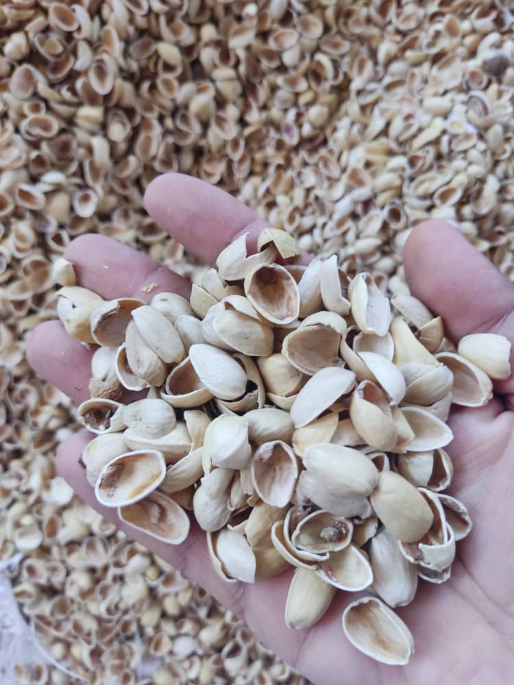 تصویر 2 از خرید و فروش عمده پوست پسته + صادراتی