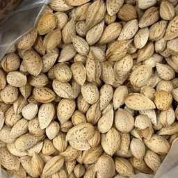 تصویر 1 از فروش بادام پوست کاغذی درجه 1 + قیمت باور نکردنی