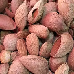 تصویر 2 از فروش بادام پوست کاغذی درجه 1 + قیمت باور نکردنی