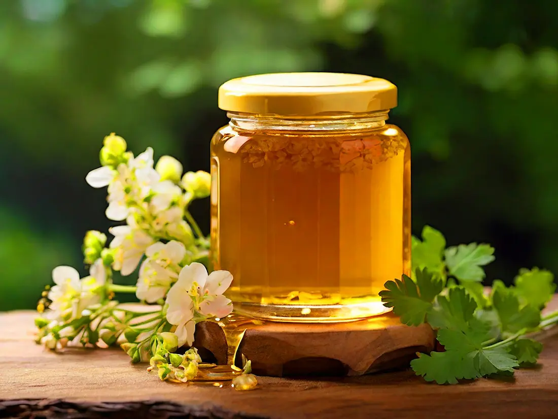 تصویر 1 از قیمت عسل بهار نارنج اعلا پت 200 گرمی + فروش عمده
