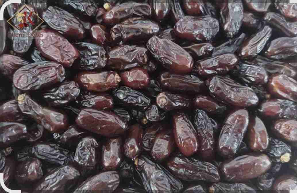 تصویر 2 از قیمت خرمای ربی صادراتی + فروش ویژه