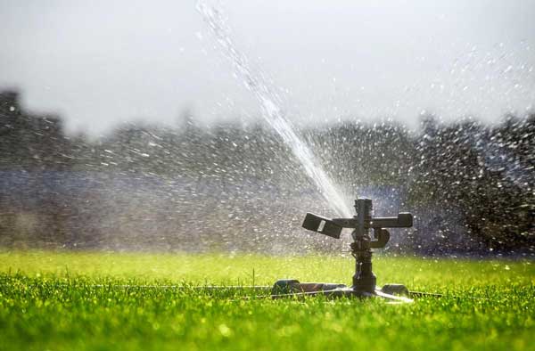 تصویر 2 از خرید انواع آب‌پاش  با کیفیت عالی + عمده