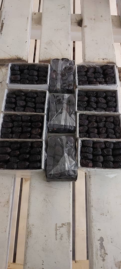 خرمای مضافتی شاه خرمای  جنوب