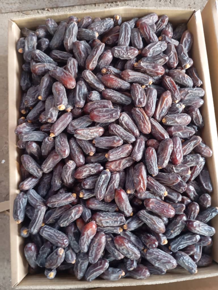 تصویر 2 از خرید و قیمت عمده خرما ربی + فروش عمده