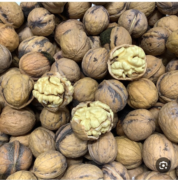 خرید مغز خانه گردوی تویسرکان + مستقیم از باغ داران به صورت عمده