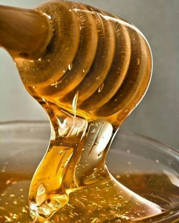 تصویر 1 از قیمت خرید عسل مرکبات با قیمت باور نکردنی