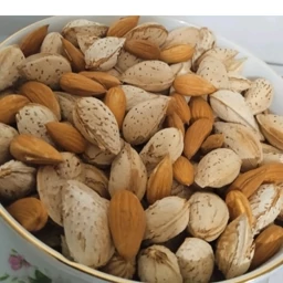 تصویر 1 از خرید و فروش بادام محب + قیمت باورنکردنی