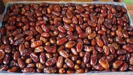 تصویر 1 از قیمت خرید خرما استعمران