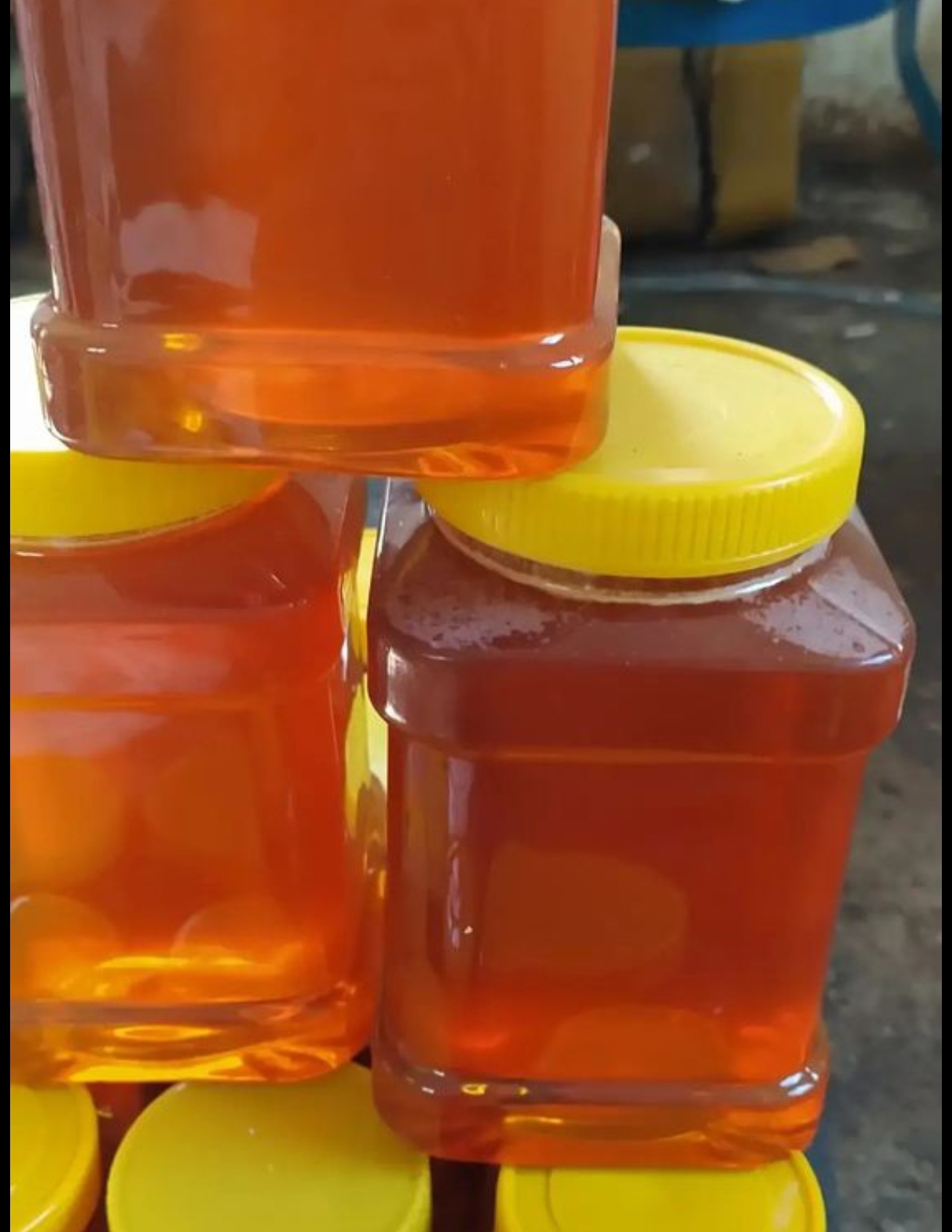 تصویر 1 از قیمت عسل کنار ارگانیک پت 5 کیلویی + فروش عمده