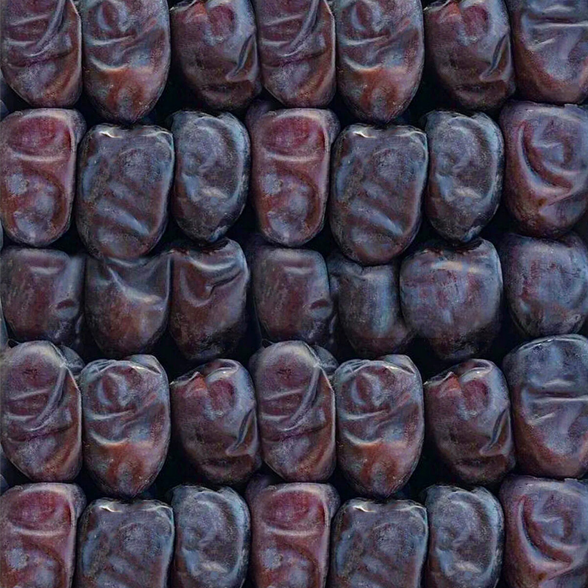 تصویر 1 از خرما مضافتی اصل جنوب شرکت نخلینا