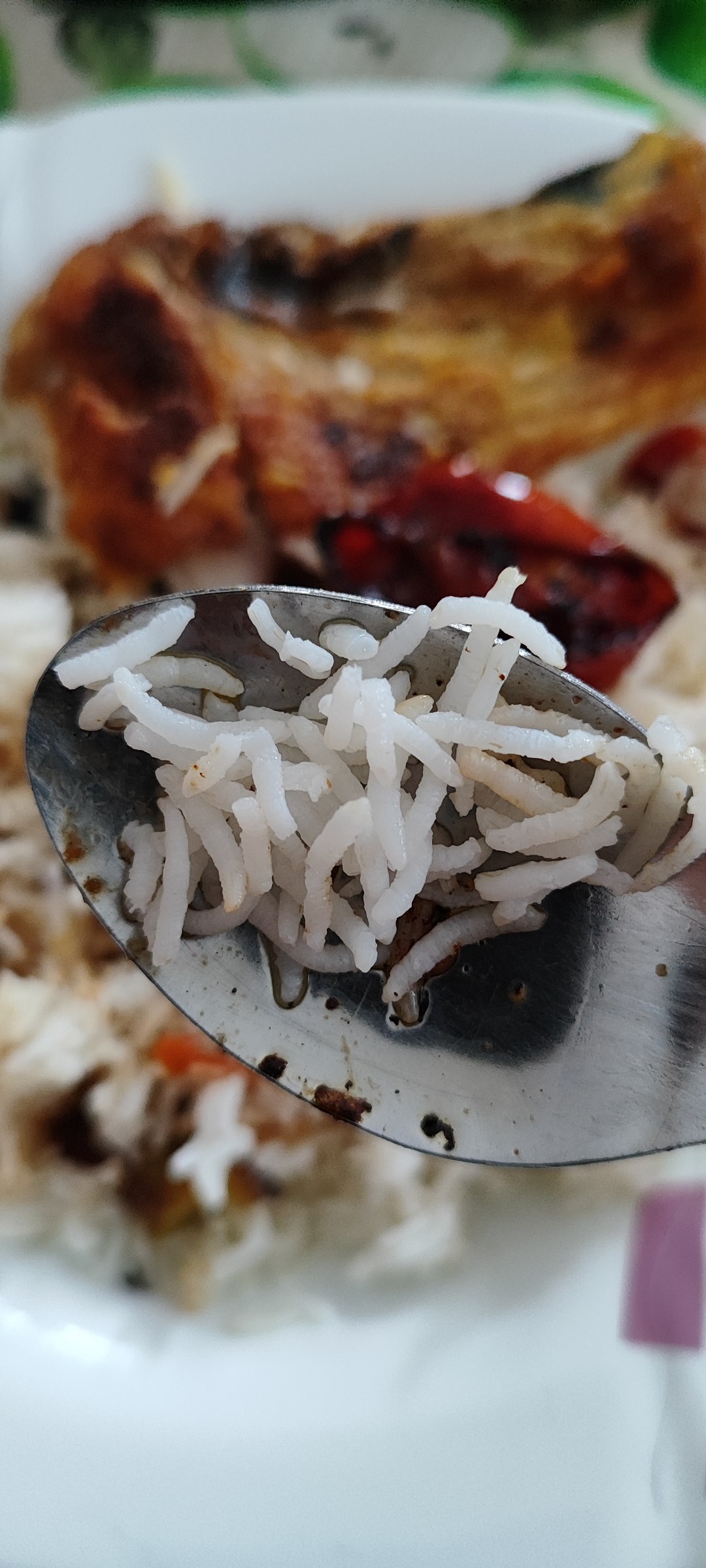 خرید مستقیم برنج شمال از کارخانه + برنج موون (Moon Rice)