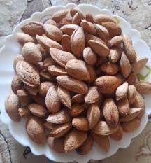 تصویر 4 از فروش بادام شاهرودی 21 + قیمت عمده