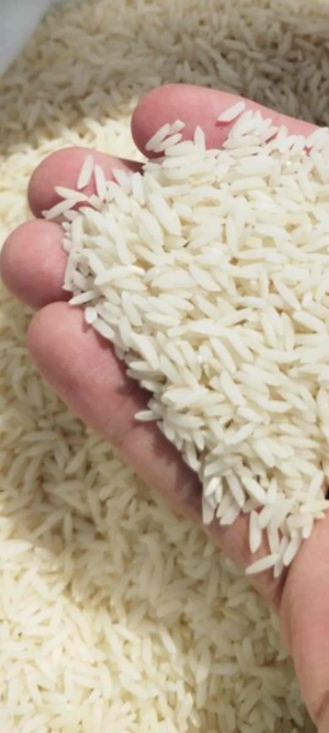 تصویر 5 از خرید برنج هاشمی امرالهی شمال