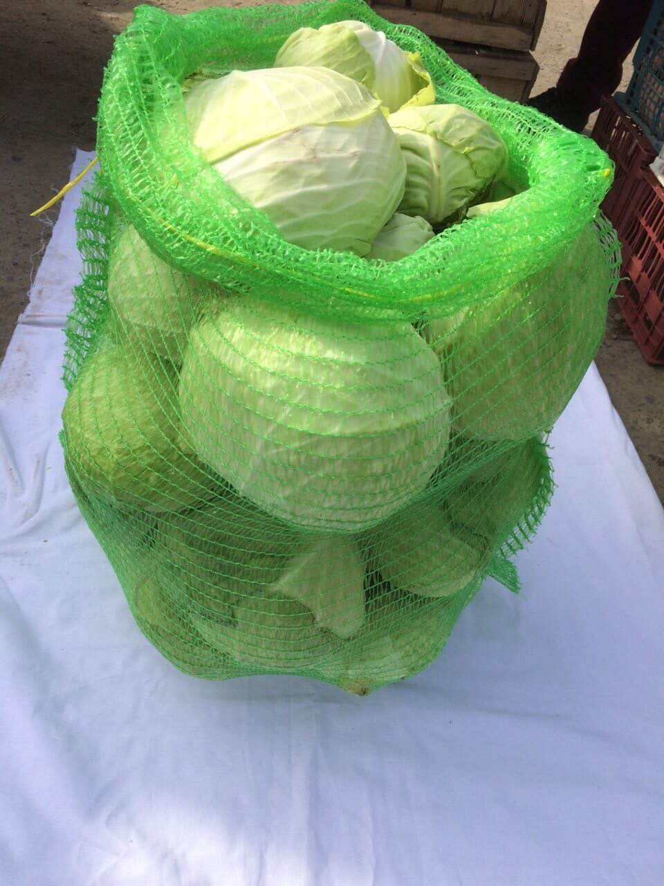 تصویر 1 از فروش کیسه توری راشل کلم