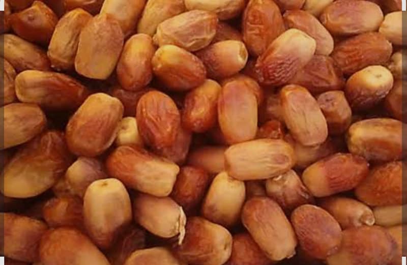 تصویر 2 از خرما زاهدی بوشهر مناسب مصرف خانگی و مجالس