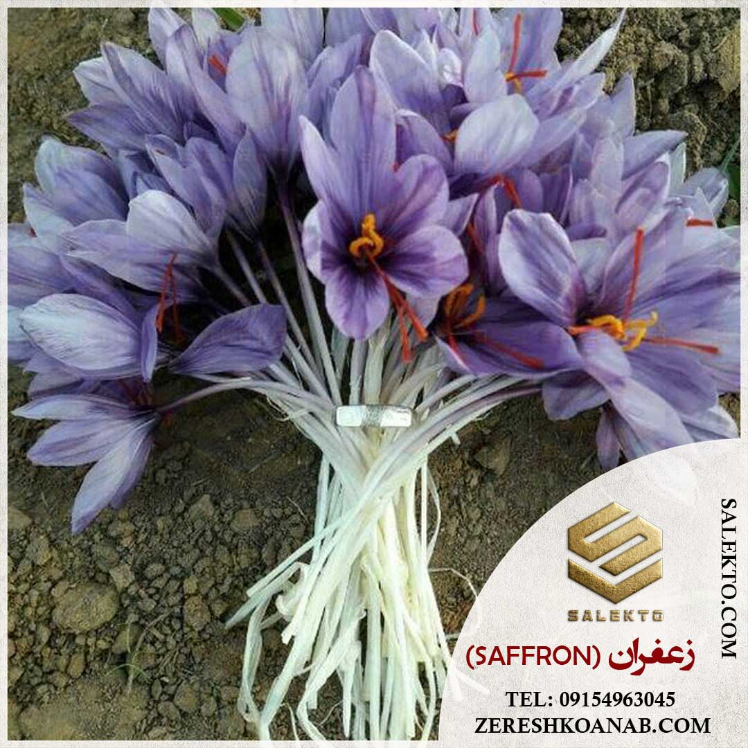 تصویر 1 از زعفران نگین خراسان جنوبی با کیفیت ممتاز