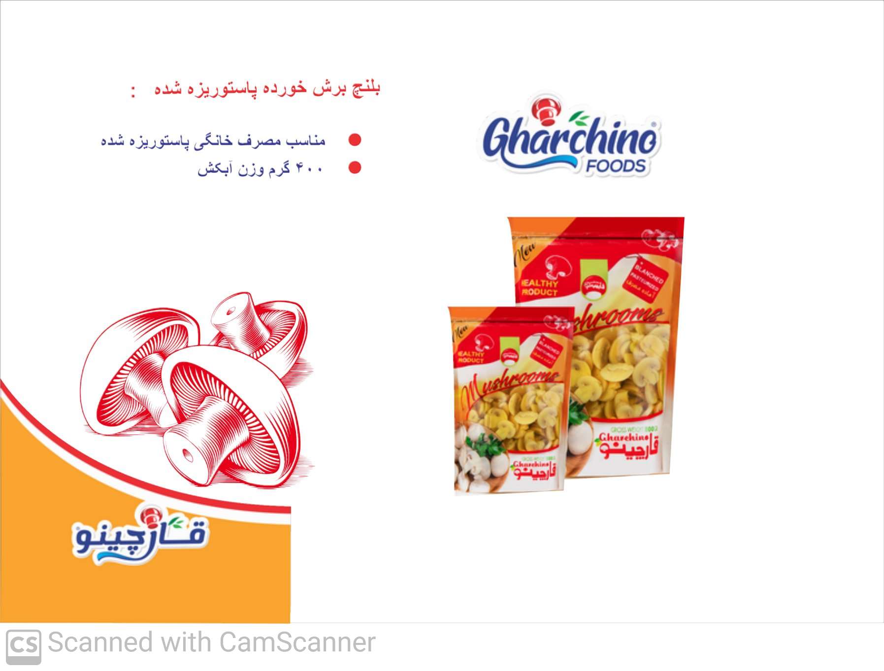 کنسرو قارچ بلانچ پاکتی + فروش عمده