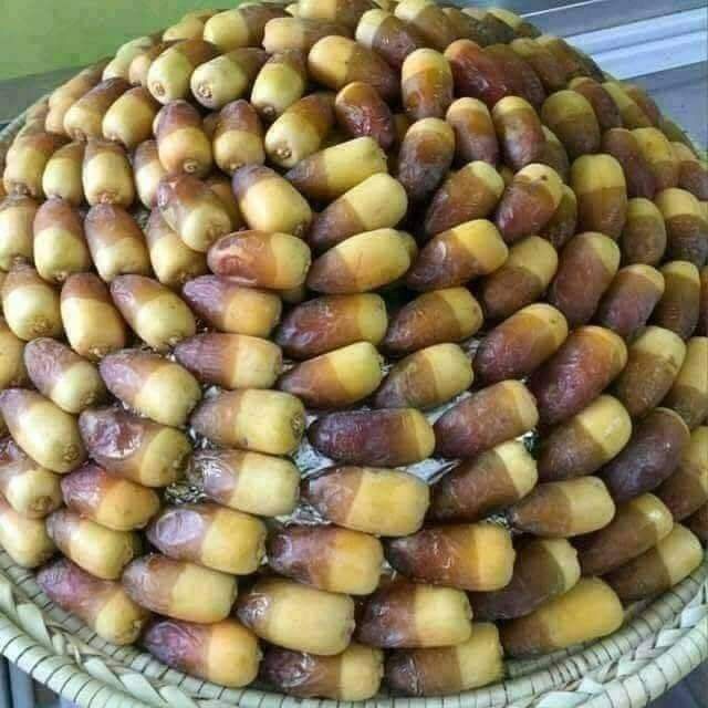 تصویر 1 از خرما رطب درجه یک طعم شیرین عالی قیمت عمده صادراتی
