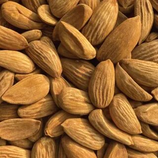 تصویر 1 از خرید ویژه بادام مامایی ۱۱۰ دانه تازه + شهرکرد