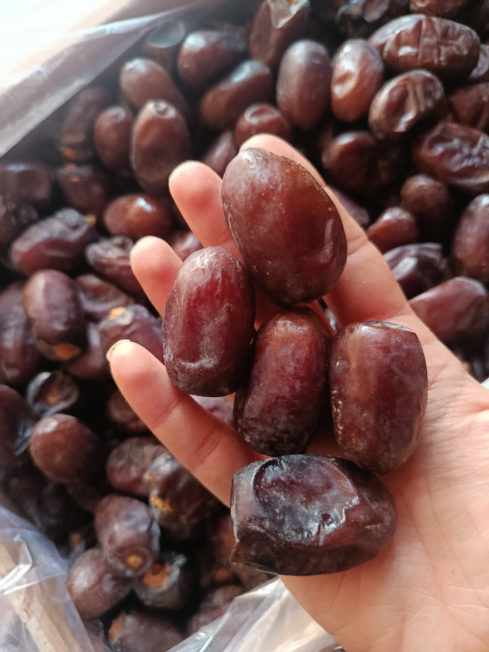 تصویر 1 از خرید خرمای کلوته جیرفت + فروش ویژه