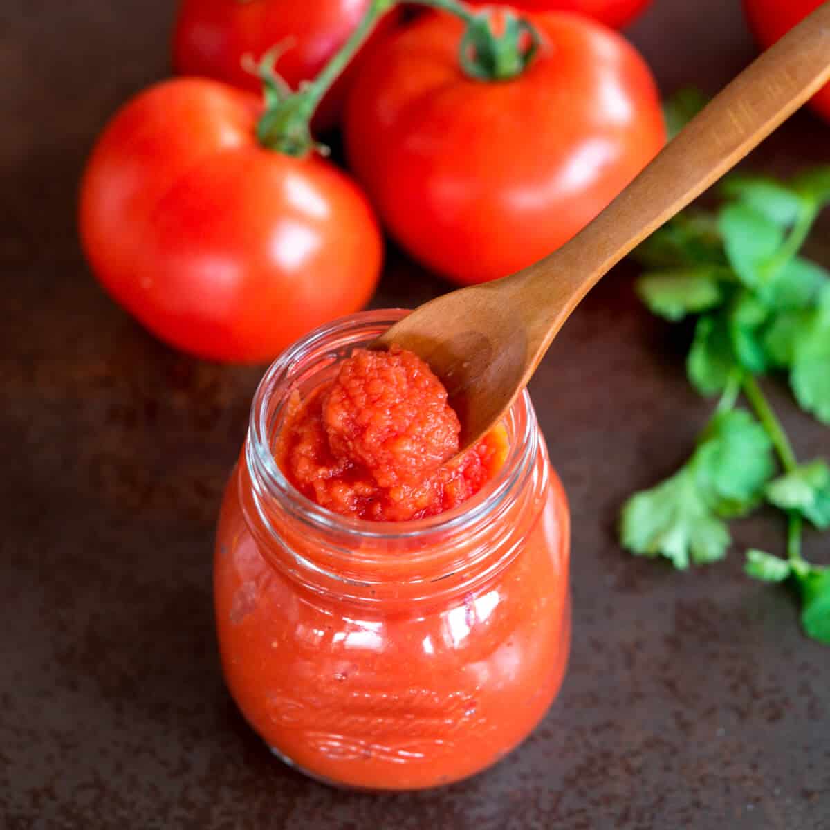 تصویر 1 از قیمت خرید رب گوجه‌فرنگی شیشه‌ ای ۲۵۰ گرمی + بریکس ۲۴