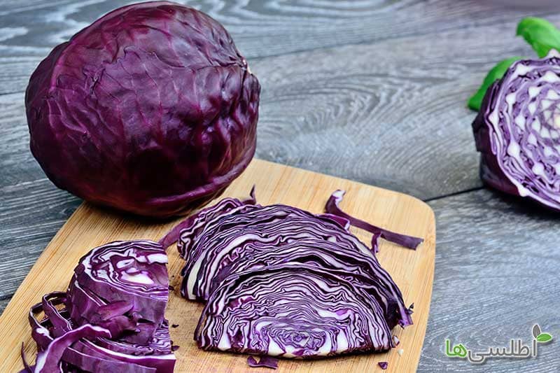 قیمت عمده کلم قرمز درجه یک + ارسال فوری