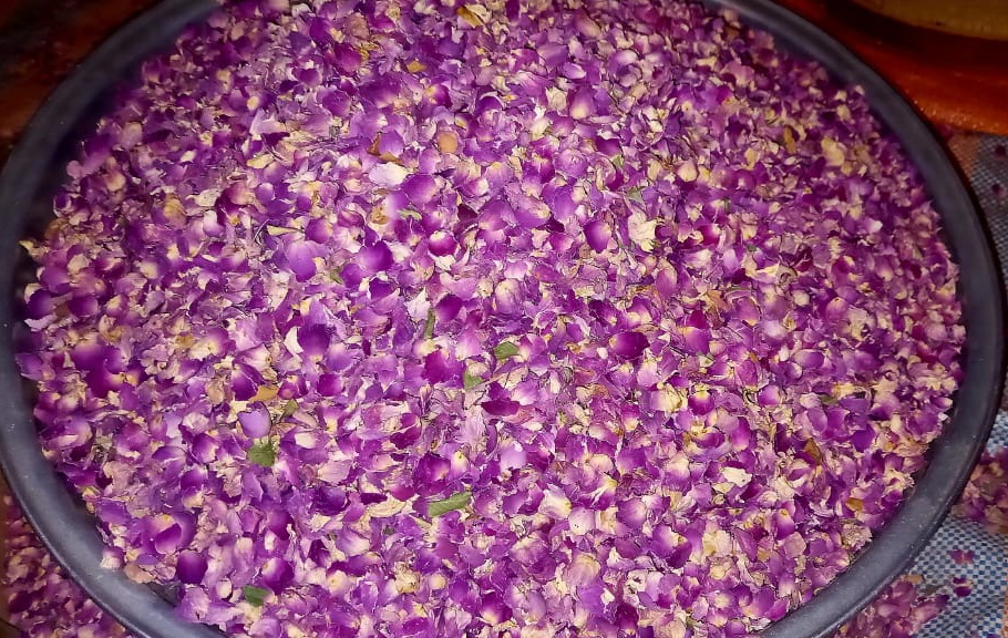 خرید پودر گل محمدی به صورت عمده