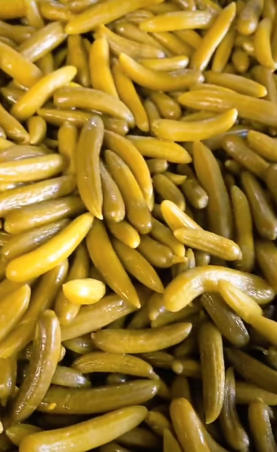 فروش ویژه و محدود خیارشور بروجرد + قیمت عالی