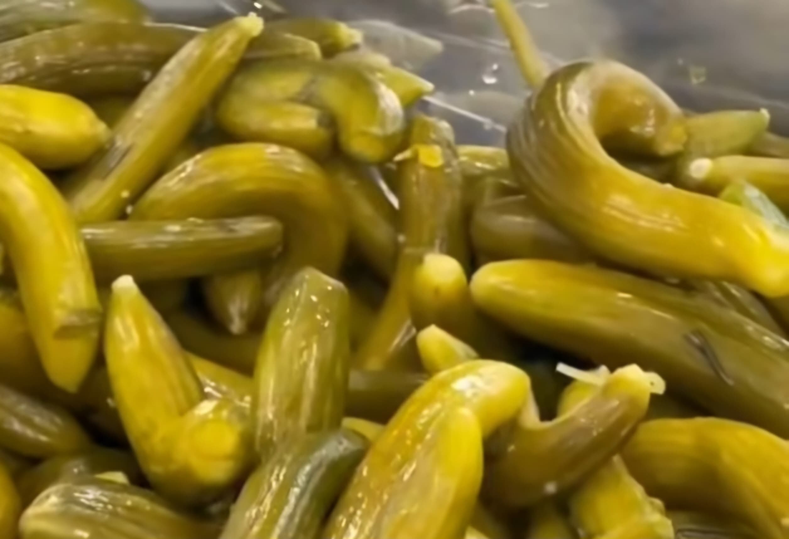 خرید آسان خیارشور اصفهان + قیمت به صرفه