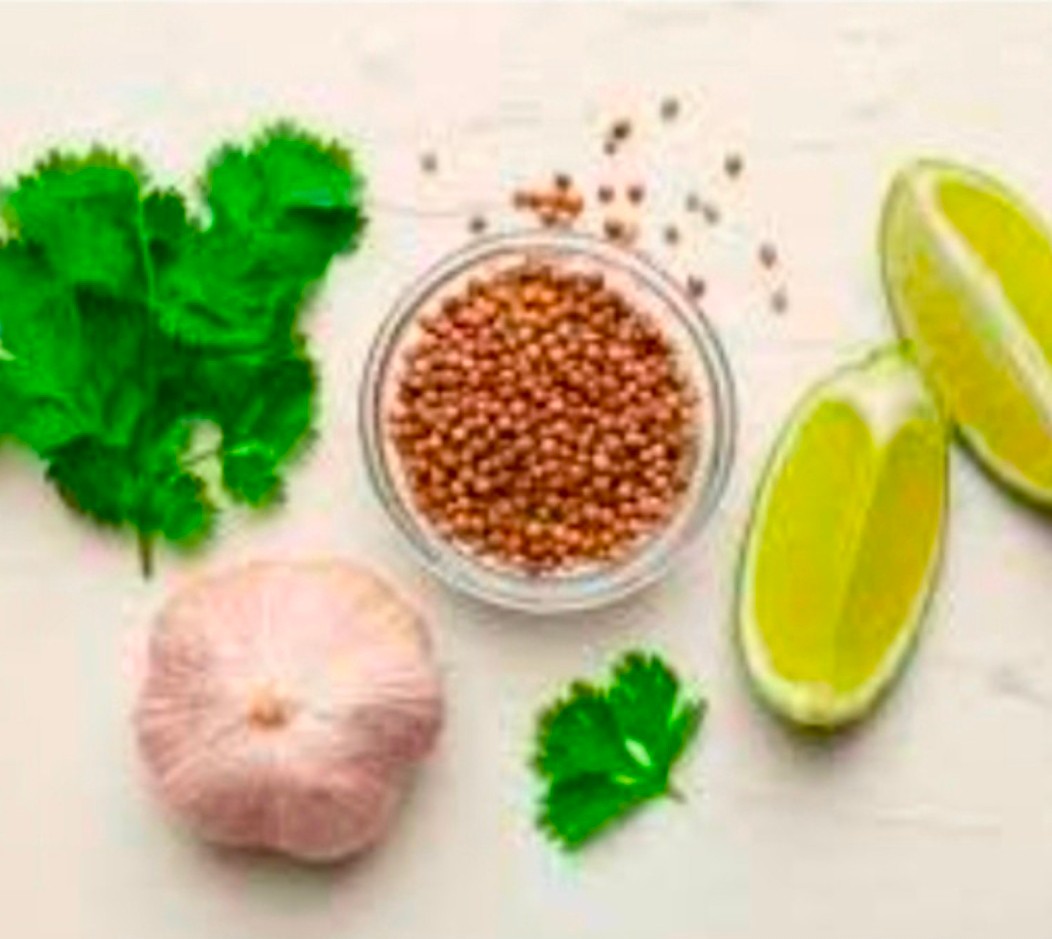 تصویر 1 از خرید تخم گشنیز از آناهیتا