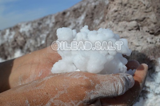 تصویر 5 از نمک چشمه شیلاتی مقرون به صرفه عمده خرید فروش