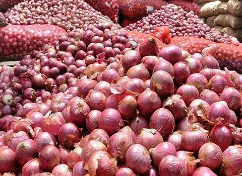تصویر 1 از فروش عمده پیاز جنوب