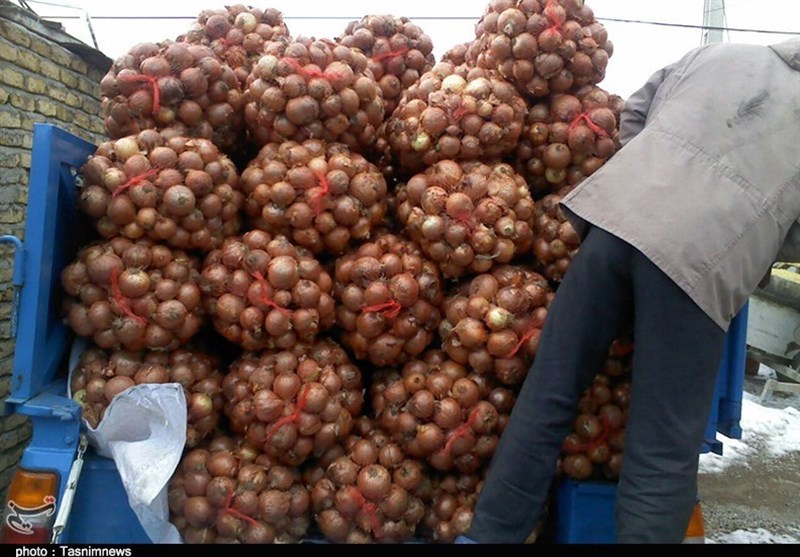 تصویر 1 از فروش عمده پیاز سایز متوسط