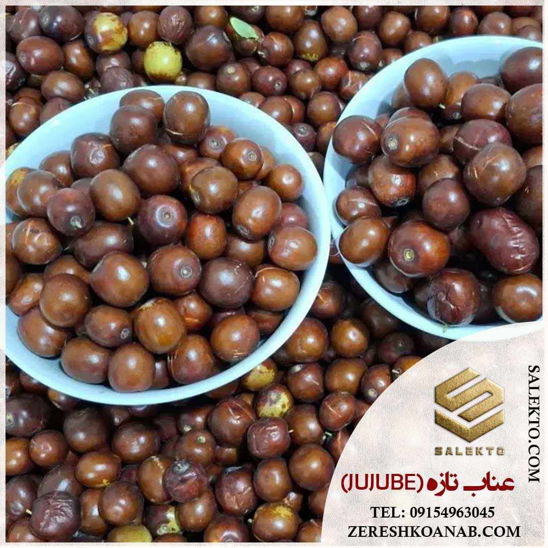 تصویر 2 از عناب تازه بیرجند با طعم طبیعی و خواص درمانی