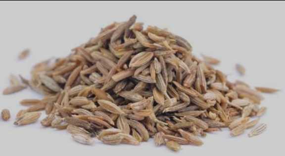 تصویر 3 از زیره کوهی تازه‌ چین خوش‌ عطر