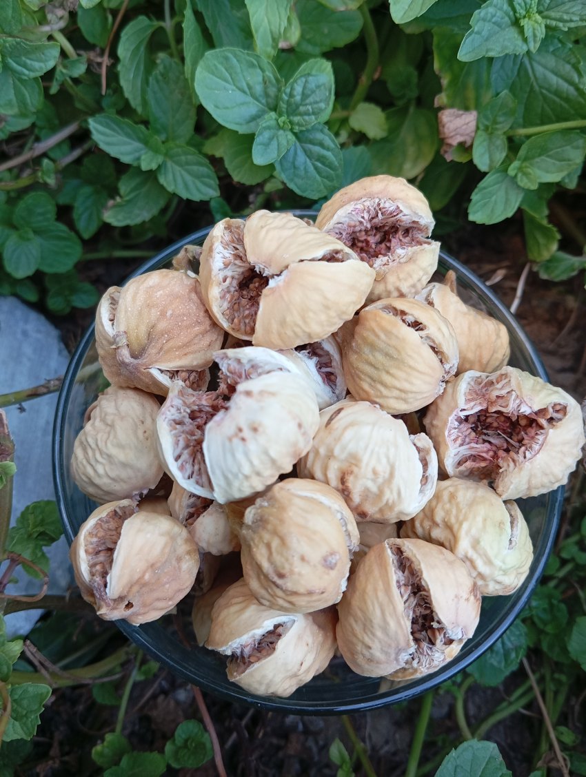تصویر 5 از قیمت روز انجیر خشک ممتاز + عرضه مستقیم از باغ