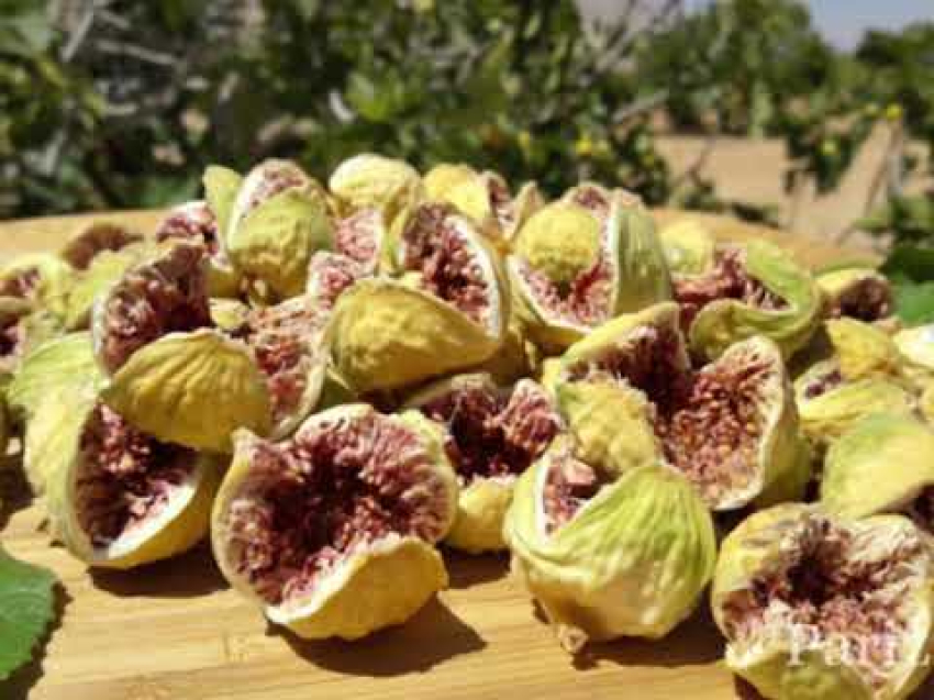 تصویر 2 از عرضه انجیر خشک پرک تازه استهبان + فروش اینترنتی آسان