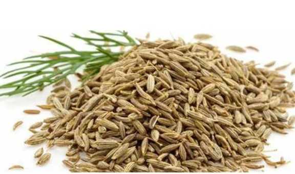 تصویر 5 از زیره سبز اعلا بسته بندی