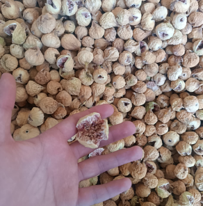 انجیر خشک درجه یک درشت و گوشتی خوش خوراک