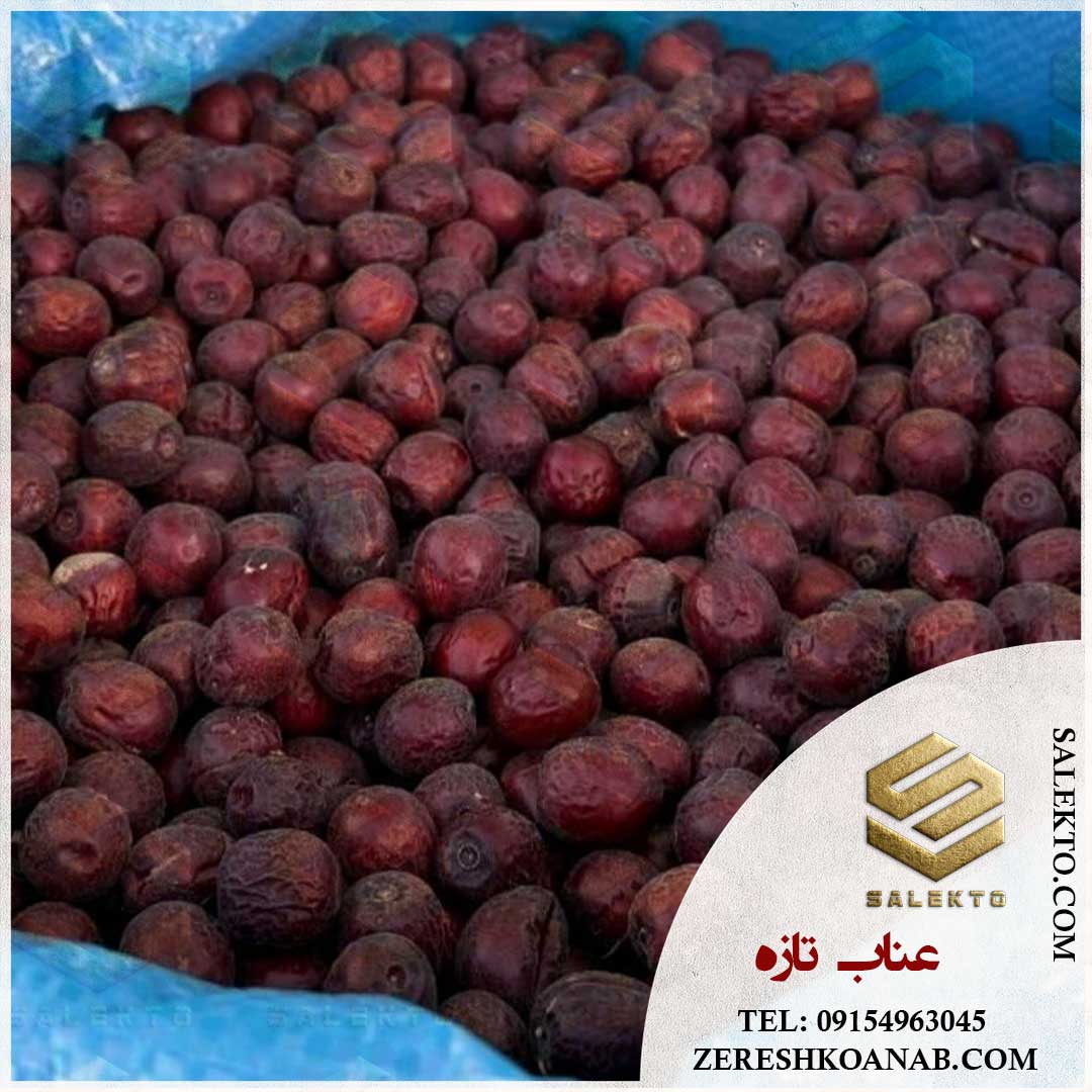 تصویر 2 از عناب خشک خراسان جنوبی امسالی با طعمی خاص