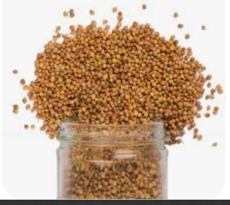 تصویر 1 از خرید تخم گشنیز + خرید به صرفه