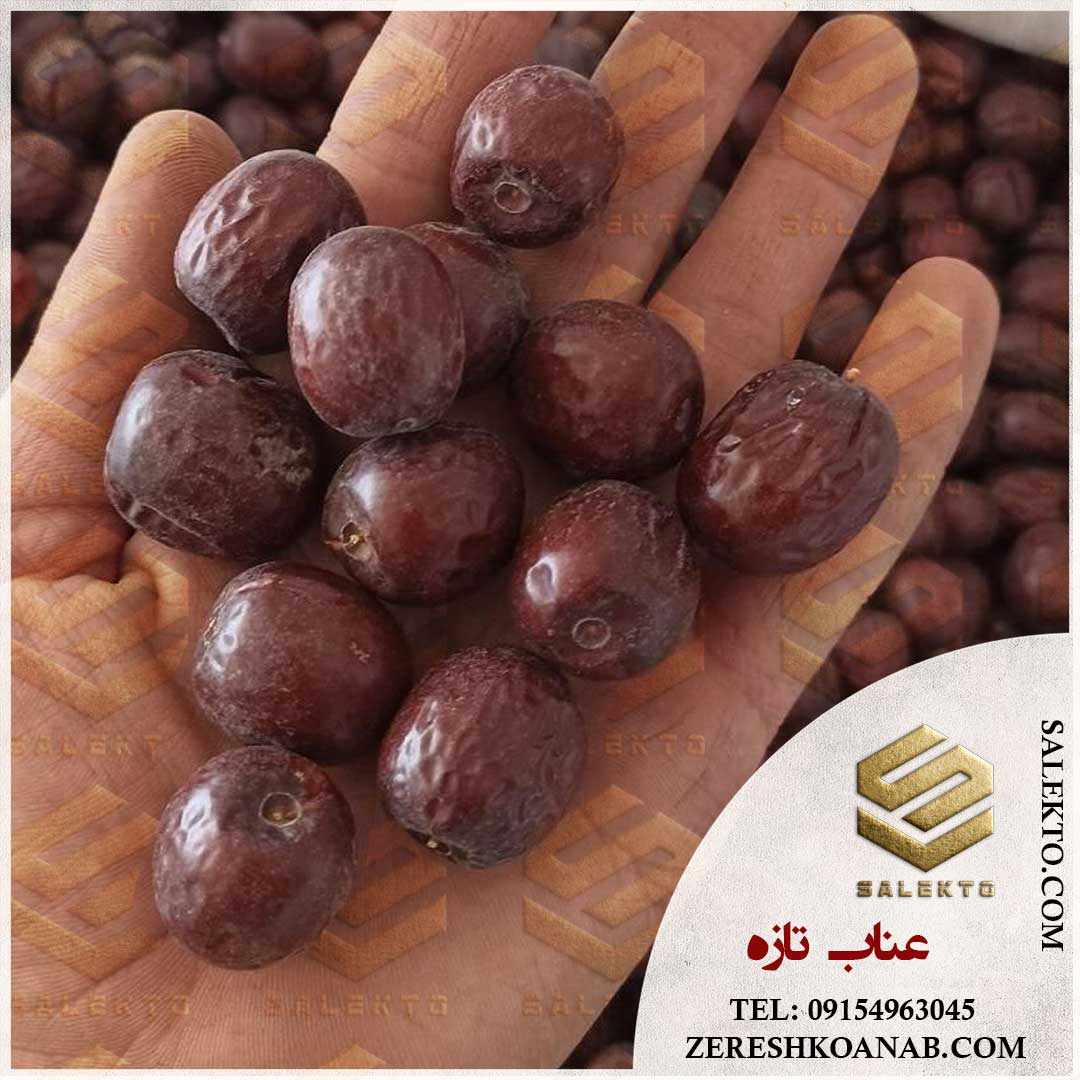 تصویر 1 از عناب خشک خراسان جنوبی امسالی با خواص درمانی فراوان