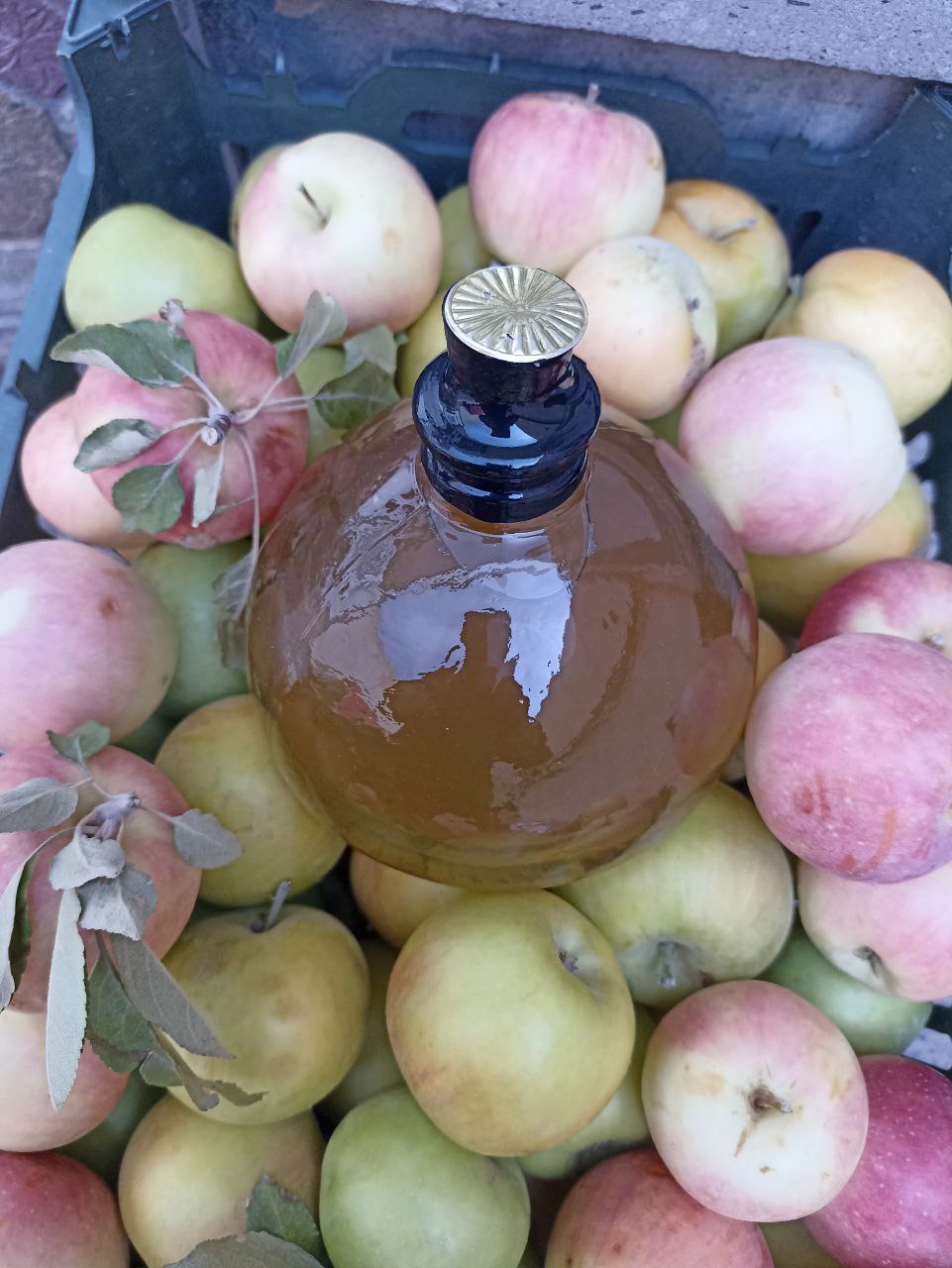 خرید سرکه سیب ۶ ساله بسته بندی شیشه ای + درمان رسوب عروق
