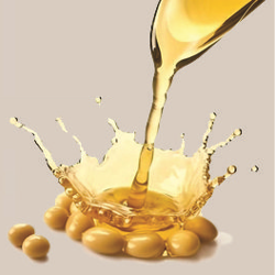 تصویر 3 از مرکز فروش روغن مخصوص طیور و دام + قیمت فوق العاده