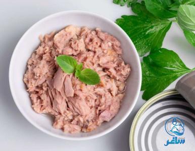 تصویر 4 از کنسرو ماهی 180 گرمی + با قیمت باور نکردنی