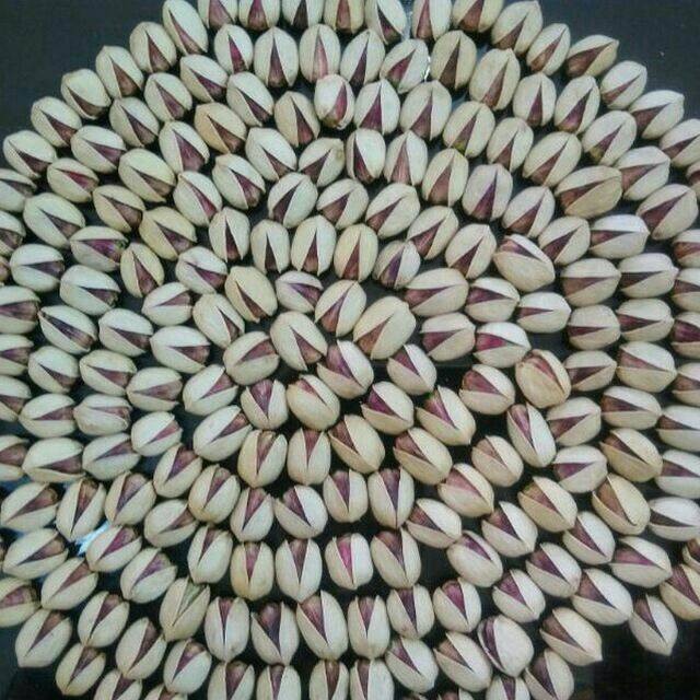 تصویر 3 از فروش پسته کله قوچی صادراتی + شرایط فوق العاده