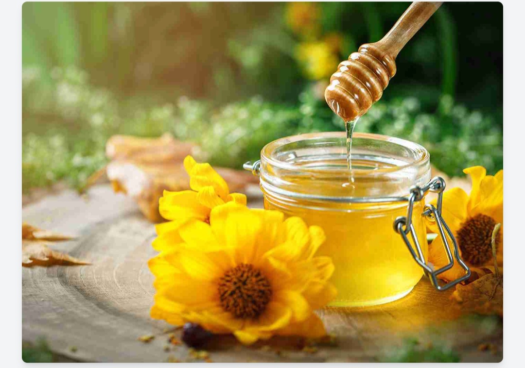 تصویر 4 از فروش عسل ارگانیک طبیعی به قیمت عمده
